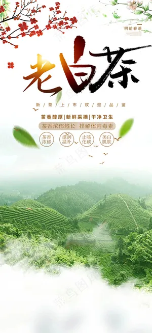 老茶叶活动促销海报