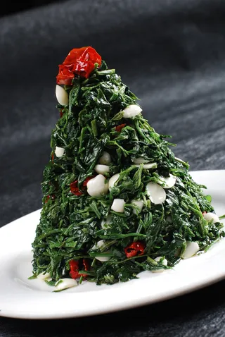 LCSC3535杏仁灰灰菜