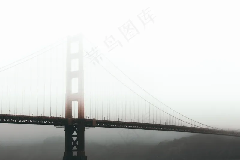 云雾森林图片