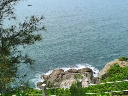 海岛景色海边树林