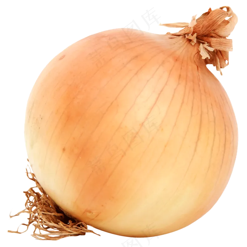 免抠洋葱素材