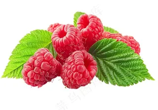 树莓水果摄影图免抠