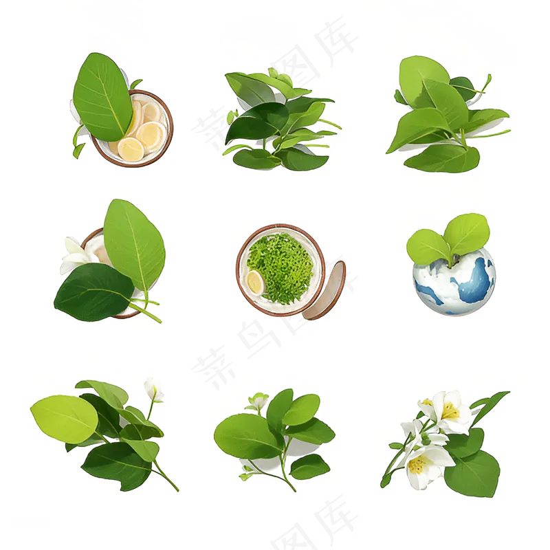 绿色手绘小植物花草系列免抠素材80
