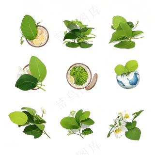 绿色手绘小植物花草系列免抠素材80