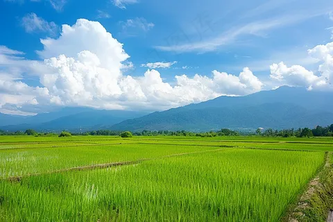 春天草地农田蓝天白云摄影图