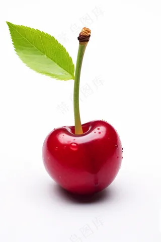 新鲜樱桃车厘子水果摄影图