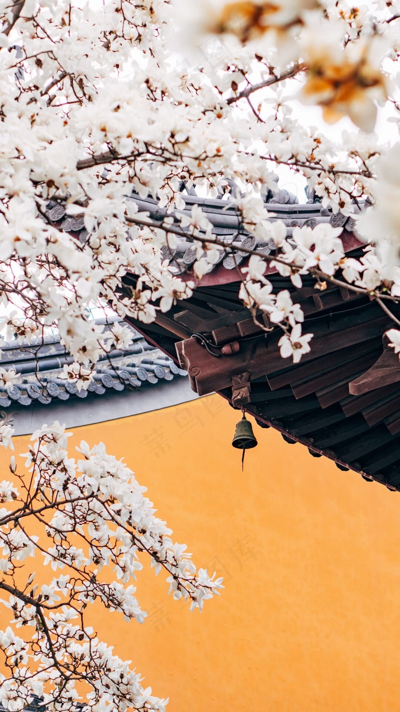 寺庙花美图