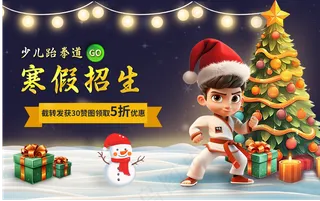 寒假招生，培训班，跆拳道，海报，圣诞节