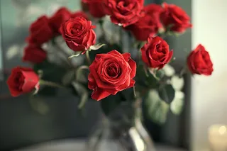 玫瑰花鲜花花朵摄影图