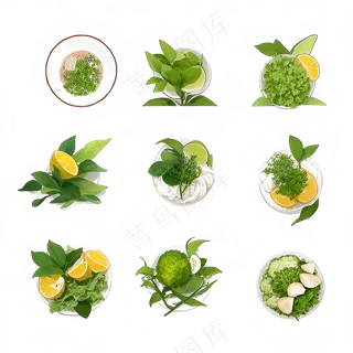 手绘练习小植物花草系列23