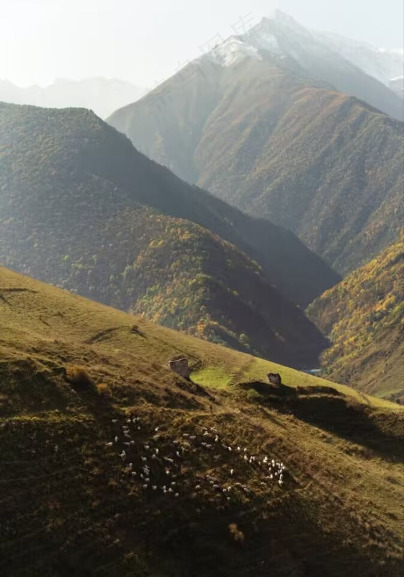 半山上的风景