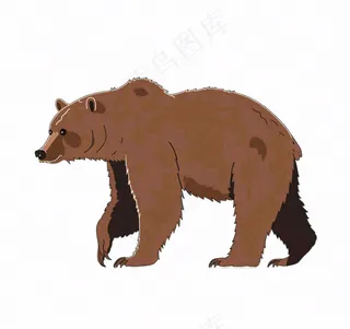 棕熊大熊动物卡通插画免抠