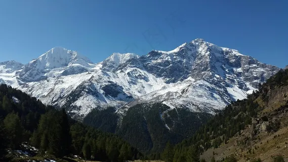 雪山下的森林 雪山下的森林