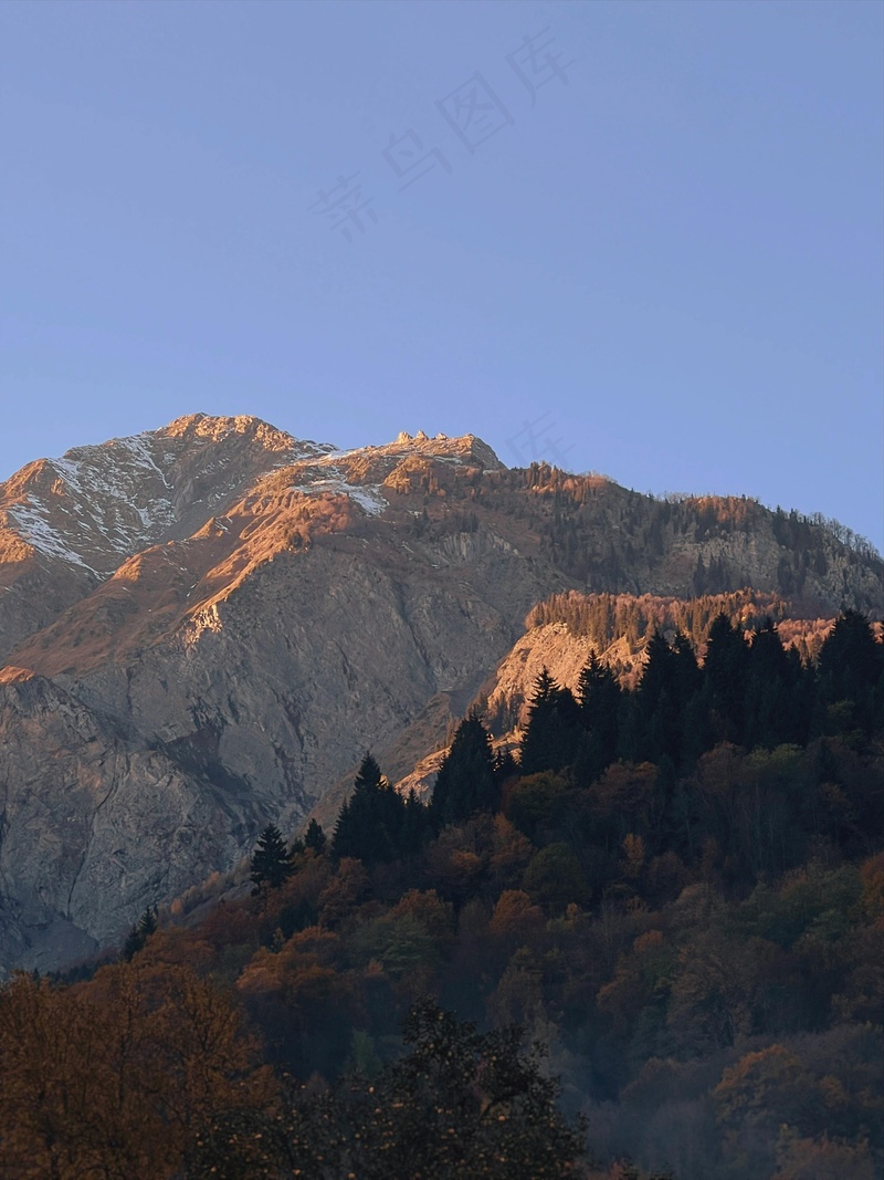 金色的山谷