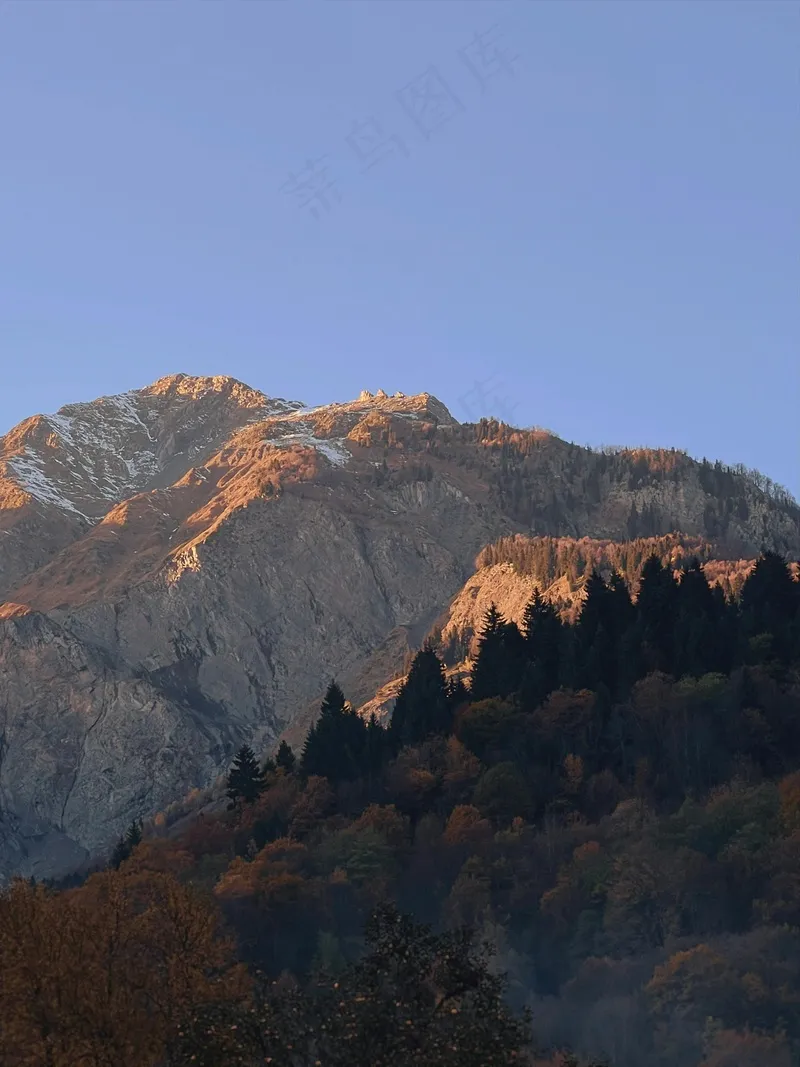 金色的山谷