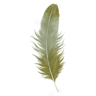 水彩羽毛免扣