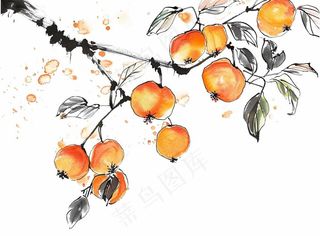 柿子杏树水墨画中国风插画免抠