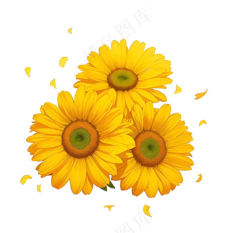 黄色向日葵花朵免抠素材47