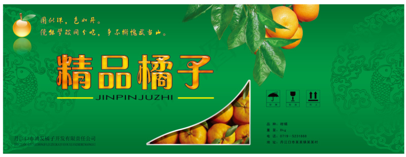 精品橘子包装文件素材psd模版下载