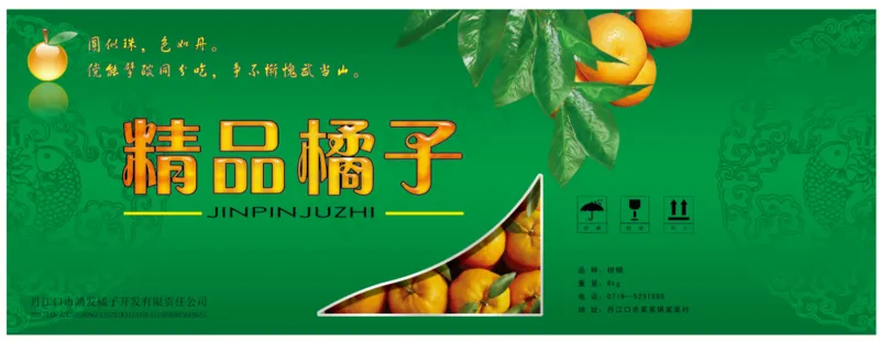 精品橘子包装文件素材psd模版下载