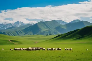 新疆春天草原风光大自然风景摄影图