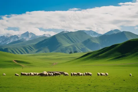 新疆春天草原风光大自然风景摄影图 新疆春天草原风光大自然风景摄影图