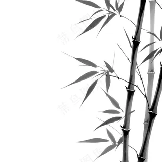 竹林竹叶水墨画古风黑白插画免抠