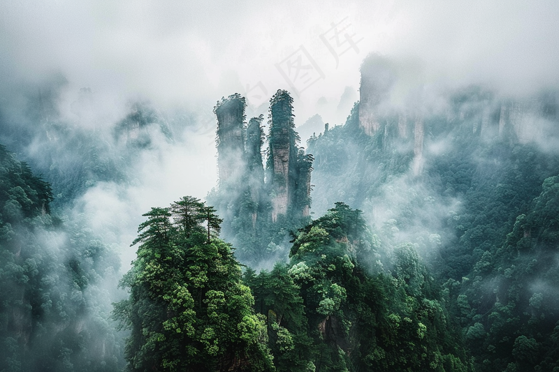 山林森林绿色大自然风景摄影图