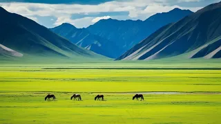 新疆春天草原风光大自然风景摄影图