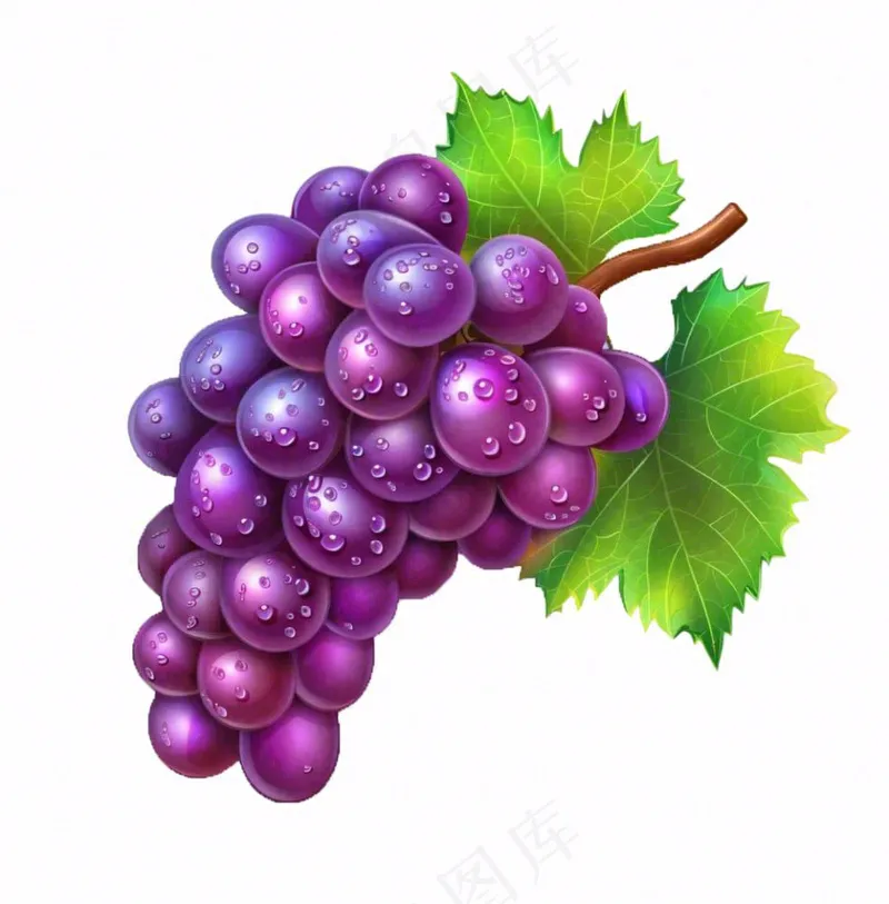 紫葡萄水果卡通插画免抠(1024x1040)