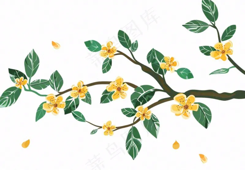 金秋桂花黄花树枝卡通插画免抠(1312x912)