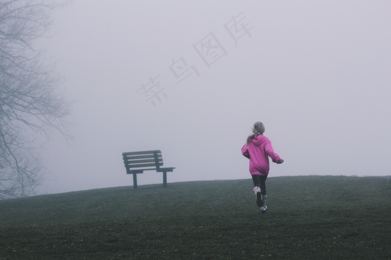 云雾森林图片