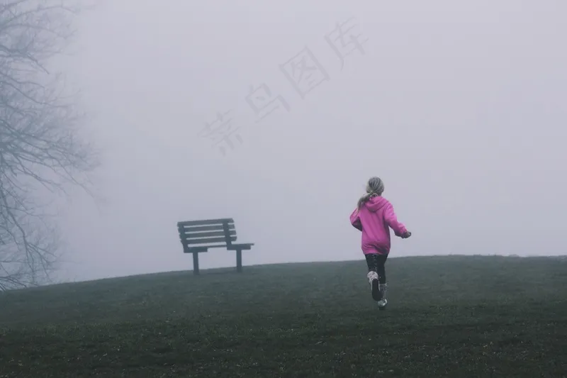 云雾森林图片