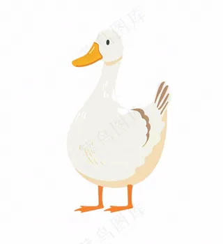 大白鸭鸭子牲畜动物卡通插画免抠