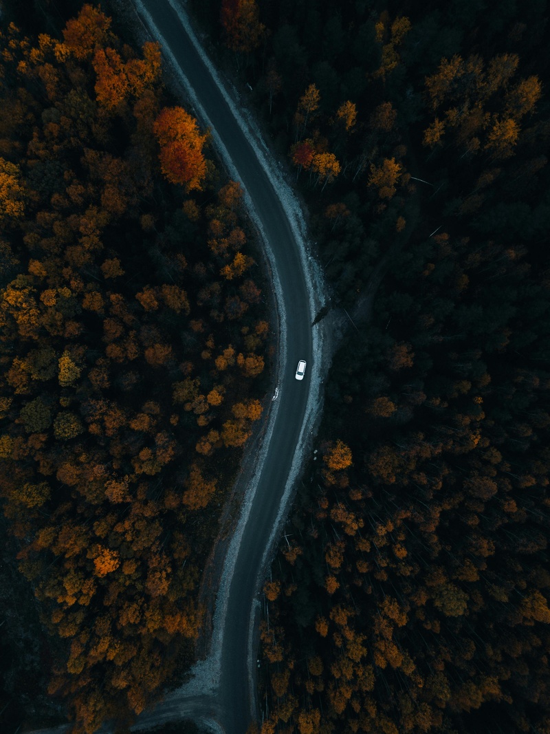 蜿蜒公路上的秋日私语