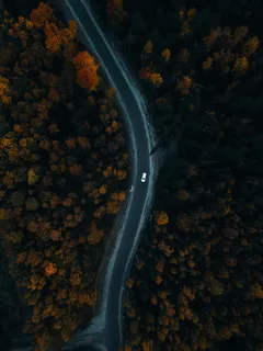 蜿蜒公路上的秋日私语 蜿蜒公路上的秋日私语