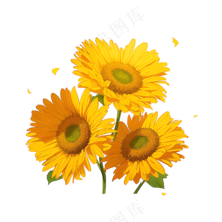 黄色向日葵花朵免抠素材21
