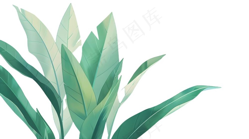 绿叶热带植物手绘插画插图免抠(1900x1064)