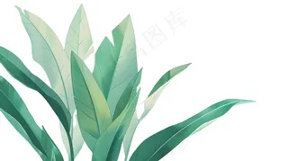 绿叶热带植物手绘插画插图免抠