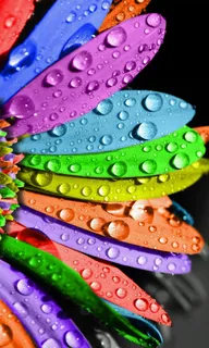 高清个性创意壁纸 (39)