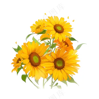 金色向日葵花丛素材13
