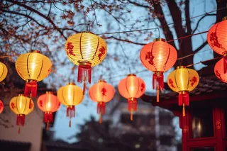 新年树梢挂着红灯笼喜庆摄影图