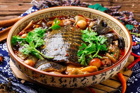 滋补养生甲鱼美食