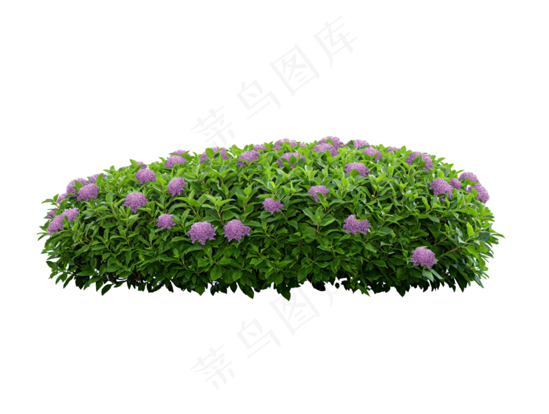 免抠开花灌木