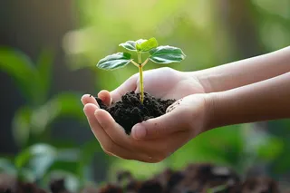 手捧树苗植树保护环境公益活动摄影图