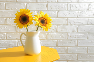 向日葵向阳鲜花摄影图