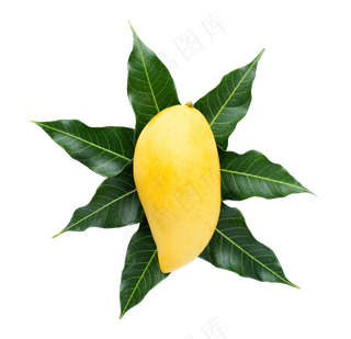 新鲜芒果免扣图