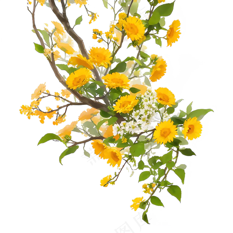 黄色 唯美 手绘 免抠 PNG 花 植物 素材3