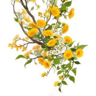 黄色 唯美 手绘 免抠 PNG 花 植物 素材3