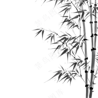竹林竹叶水墨画古风黑白插画免抠